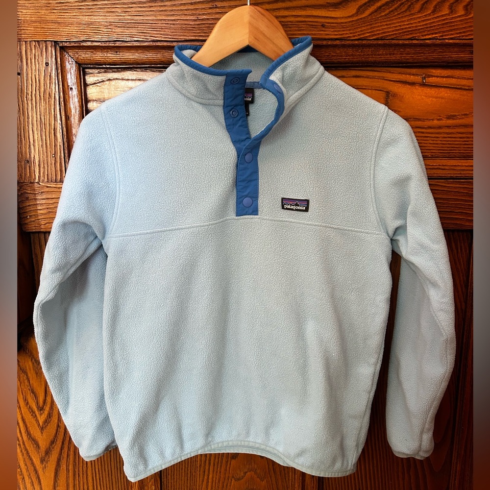 Patagonia Boy's Boys' Micro D Snap-T Fleece Pullover Pullover light blue Medium